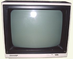 MZ-1D04 monochrome green monitor